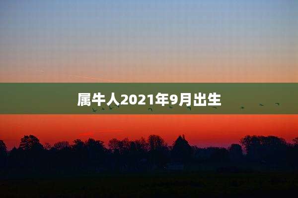 属牛人2021年9月出生