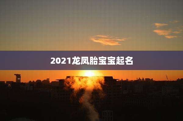 2021龙凤胎宝宝起名