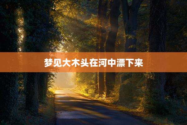 梦见大木头在河中漂下来