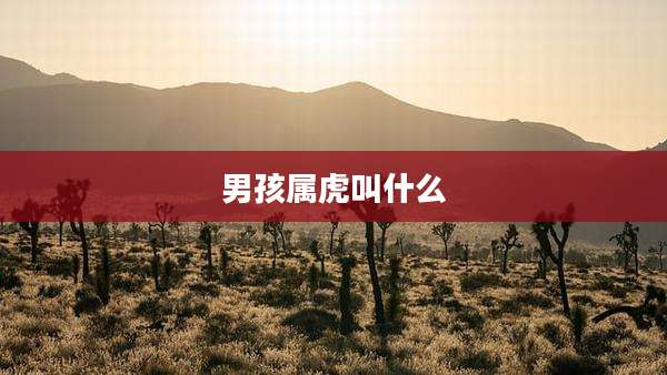 男孩属虎叫什么
