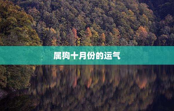 属狗十月份的运气