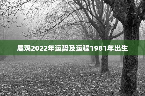 属鸡2022年运势及运程1981年出生
