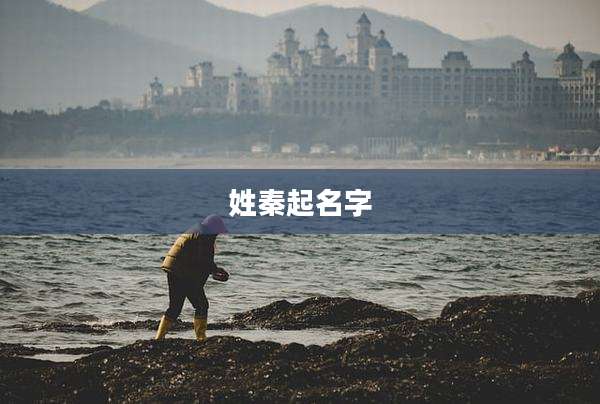 姓秦起名字