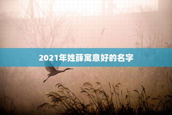 2021年姓薛寓意好的名字