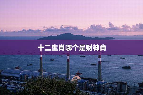 十二生肖哪个是财神肖