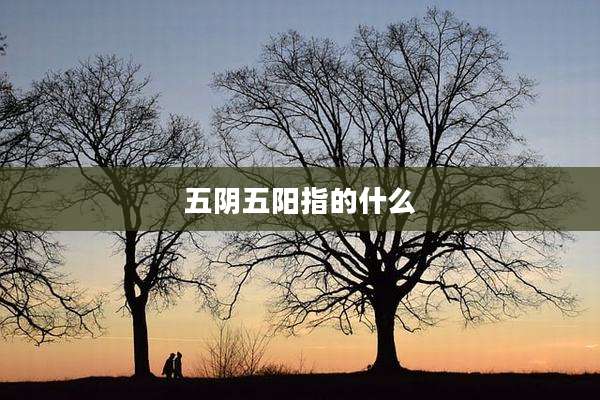 五阴五阳指的什么