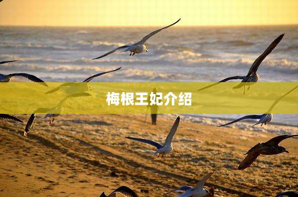 梅根王妃介绍