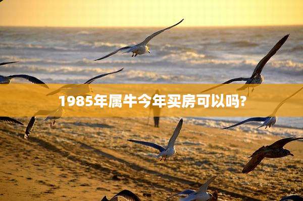 1985年属牛今年买房可以吗?