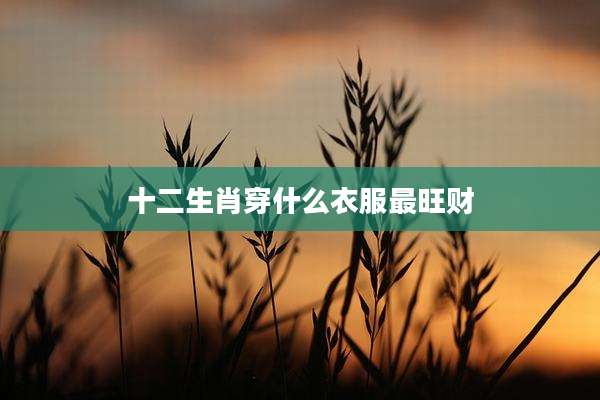 十二生肖穿什么衣服最旺财