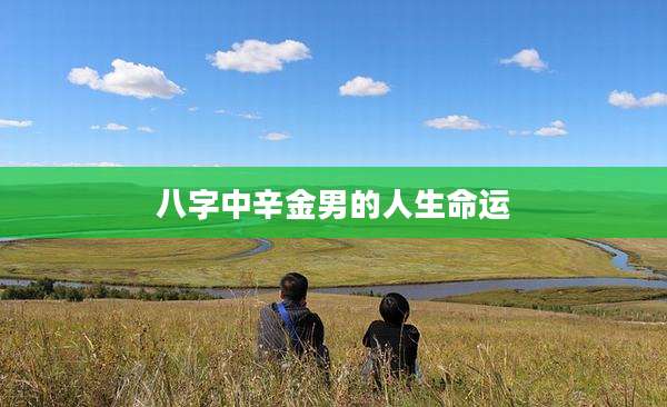 八字中辛金男的人生命运