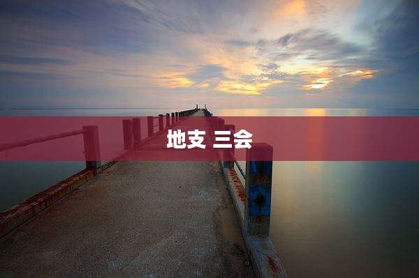 地支 三会