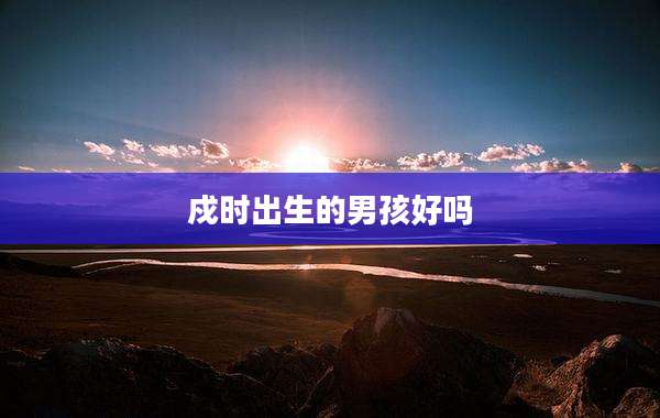 戍时出生的男孩好吗