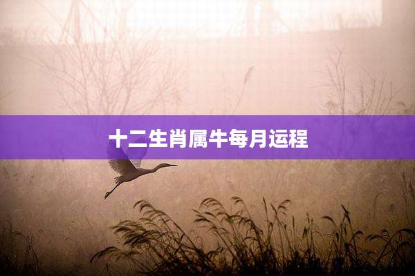十二生肖属牛每月运程