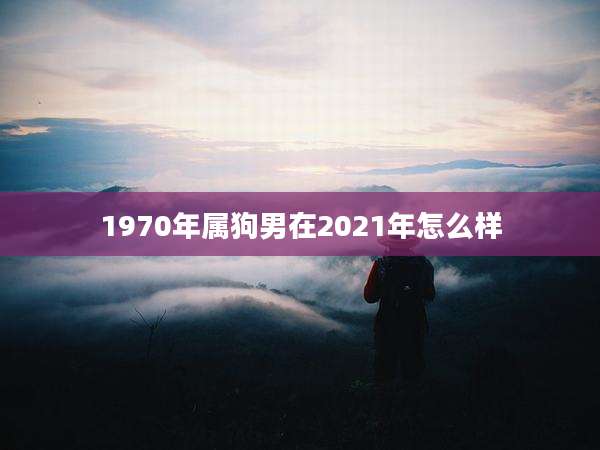 1970年属狗男在2021年怎么样
