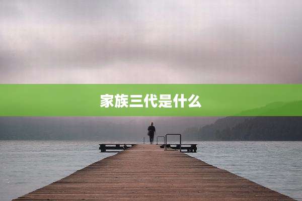 家族三代是什么