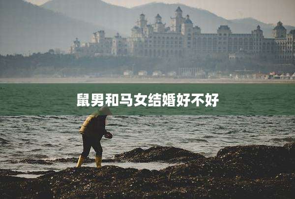 鼠男和马女结婚好不好
