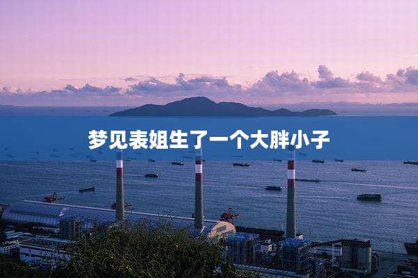 梦见表姐生了一个大胖小子