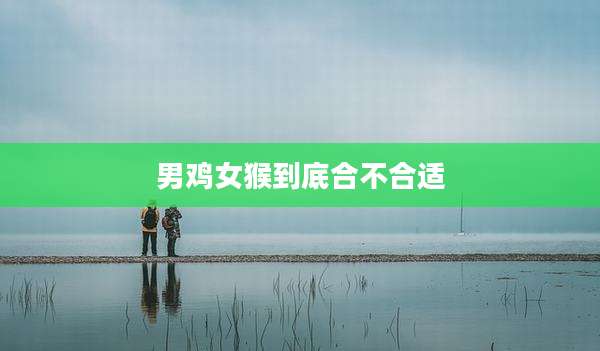 男鸡女猴到底合不合适
