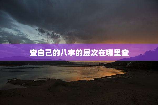 查自己的八字的层次在哪里查
