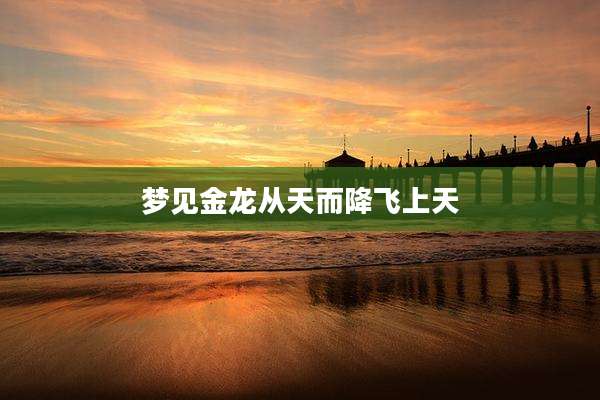 梦见金龙从天而降飞上天