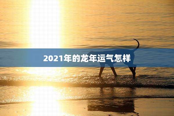 2021年的龙年运气怎样