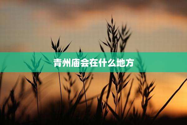 青州庙会在什么地方