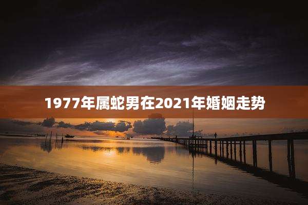 1977年属蛇男在2021年婚姻走势