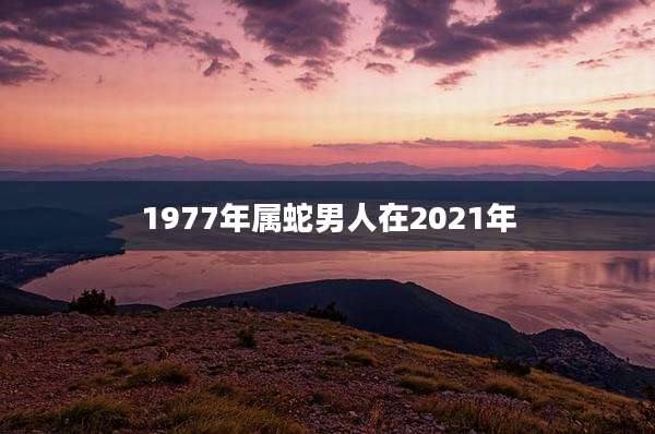 1977年属蛇男人在2021年
