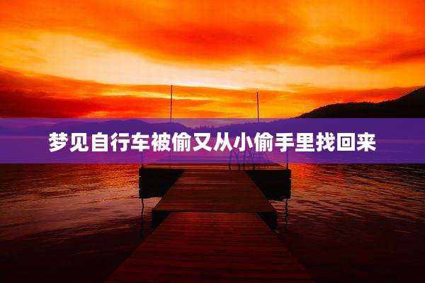 梦见自行车被偷又从小偷手里找回来