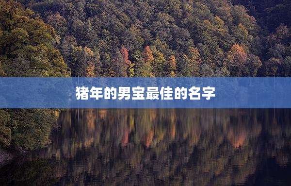 猪年的男宝最佳的名字