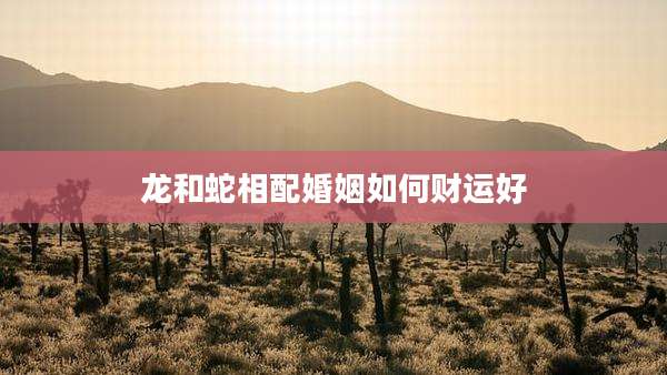 龙和蛇相配婚姻如何财运好