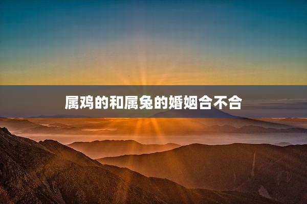 属鸡的和属兔的婚姻合不合