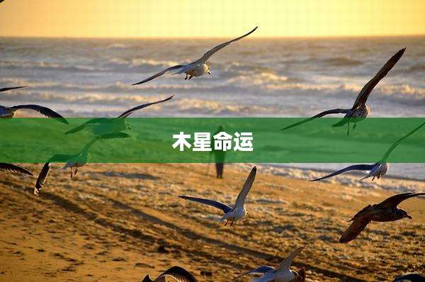 木星命运