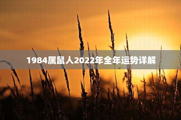 1984属鼠人2022年全年运势详解