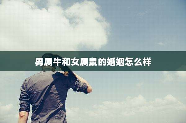 男属牛和女属鼠的婚姻怎么样