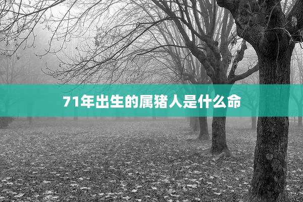 71年出生的属猪人是什么命
