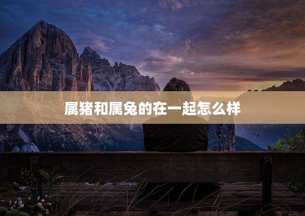 属猪和属兔的在一起怎么样