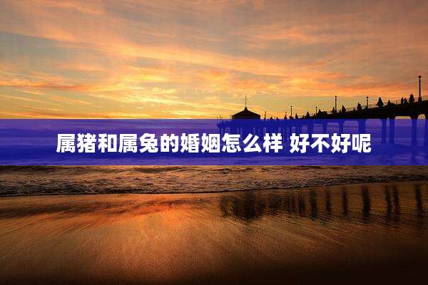属猪和属兔的婚姻怎么样 好不好呢