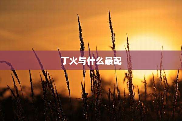 丁火与什么最配