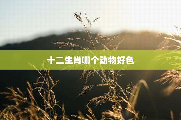 十二生肖哪个动物好色