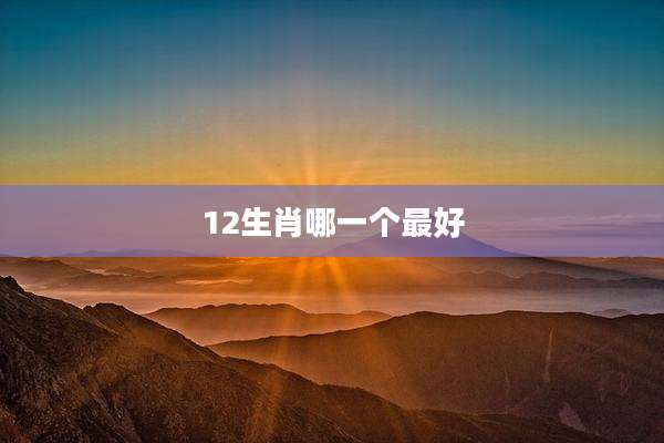 12生肖哪一个最好
