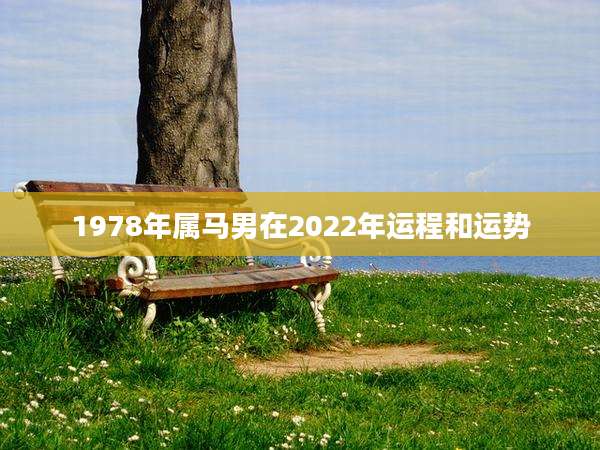 1978年属马男在2022年运程和运势