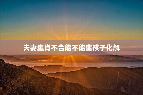 夫妻生肖不合能不能生孩子化解