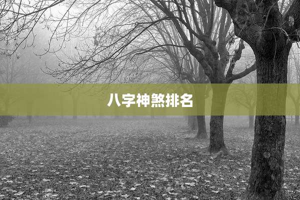 八字神煞排名