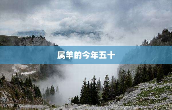 属羊的今年五十