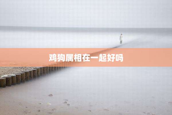 鸡狗属相在一起好吗