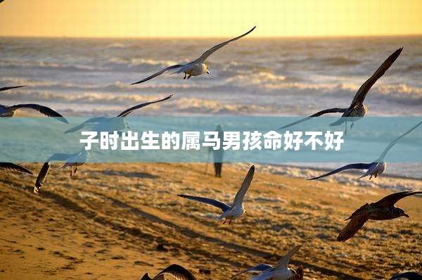 子时出生的属马男孩命好不好