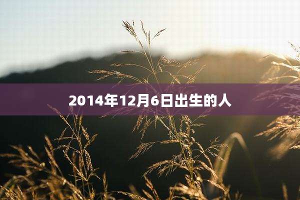 2014年12月6日出生的人