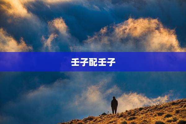 壬子配壬子