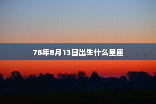 78年8月13日出生什么星座